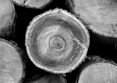 Logs, Prairie Du Chien, WI