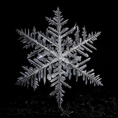 Snowflake 008 Copyright 2015 James A. Rinner